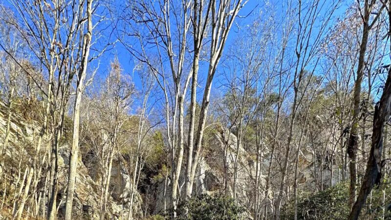 Hensley's Settlement Trailhead - Ewing, VA