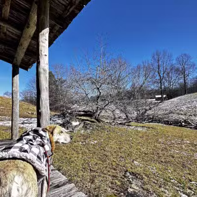 Hensley's Settlement Trailhead - Ewing, VA