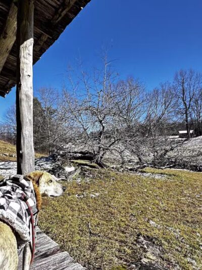Hensley's Settlement Trailhead - Ewing, VA