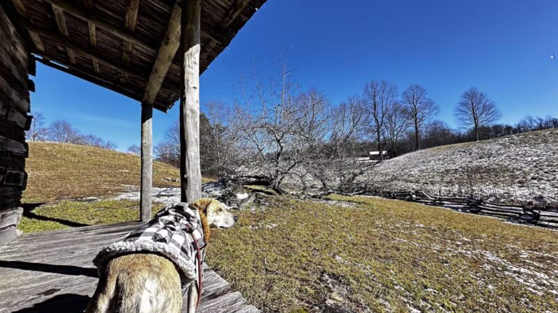 Hensley's Settlement Trailhead - Ewing, VA