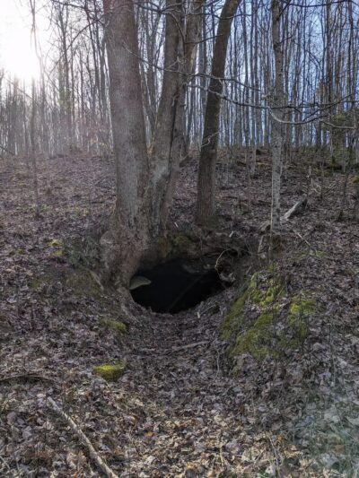 Horses - Ewing Trailhead - Ewing, VA