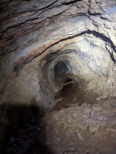 Horses - Ewing Trailhead - Ewing, VA
