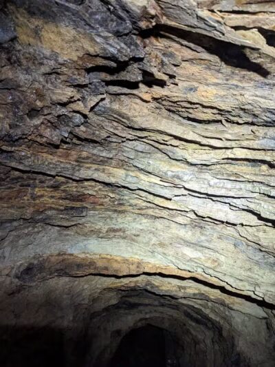 Horses - Ewing Trailhead - Ewing, VA