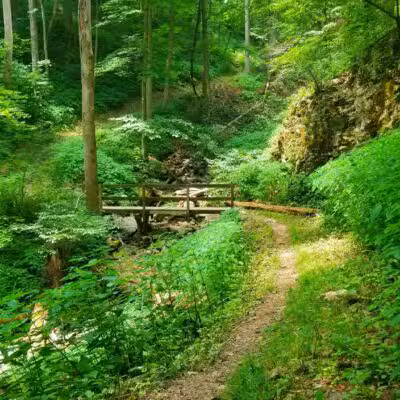 Trailhead to Skylight Cave - Ewing, VA