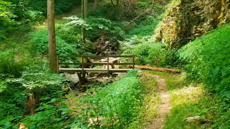 Trailhead to Skylight Cave - Ewing, VA