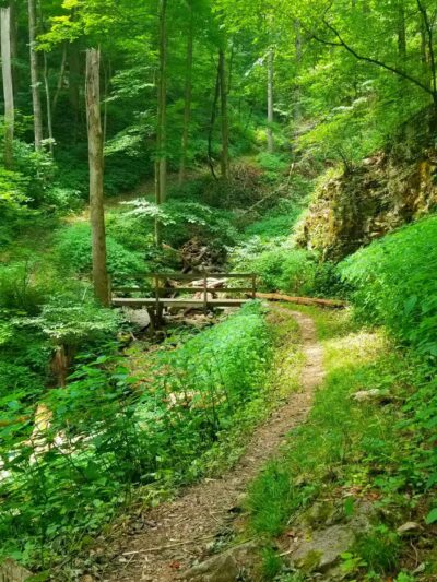 Trailhead to Skylight Cave - Ewing, VA
