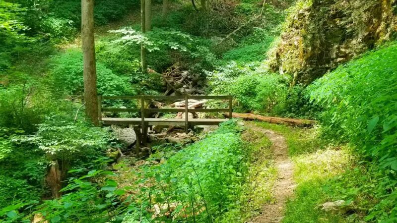 Trailhead to Skylight Cave - Ewing, VA