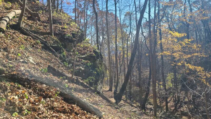 Trailhead to Skylight Cave - Ewing, VA