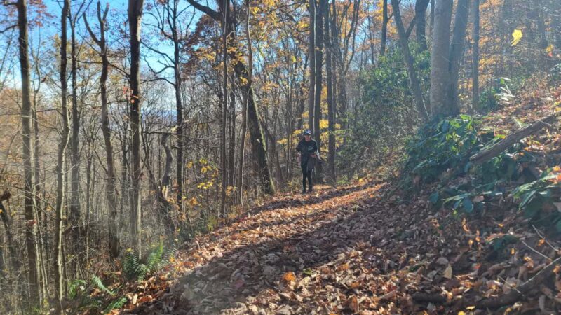 Trailhead to Skylight Cave - Ewing, VA