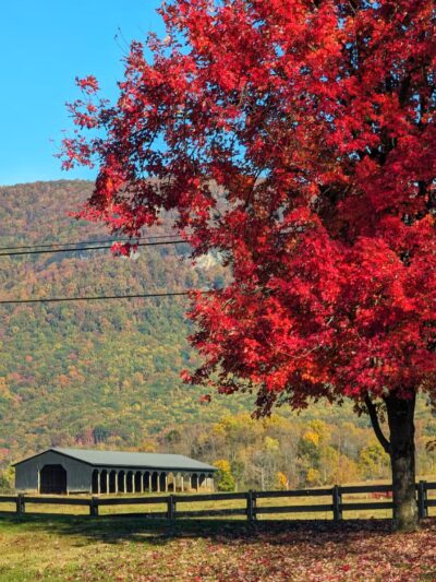 Wilderness Rd Trail East Trailhead Parking - Ewing, VA