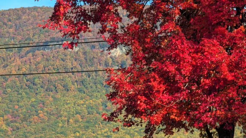 Wilderness Rd Trail East Trailhead Parking - Ewing, VA