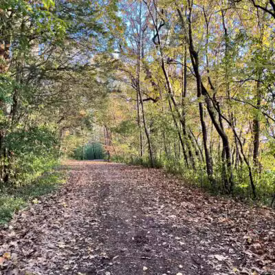 Burton Park - Excelsior, MN