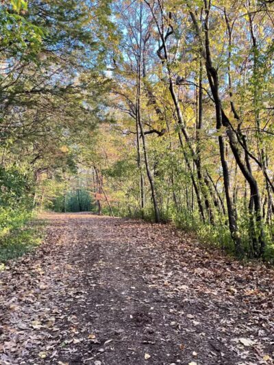 Burton Park - Excelsior, MN