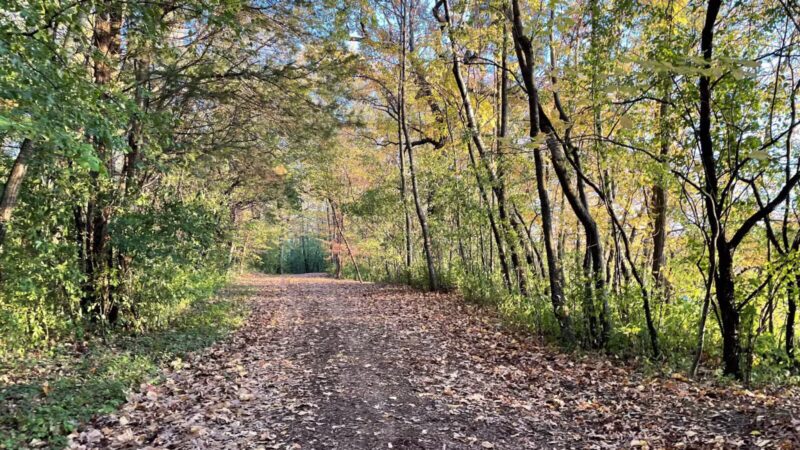 Burton Park - Excelsior, MN