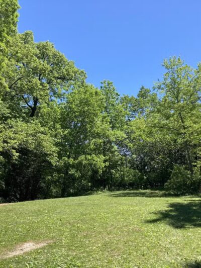 Burton Park - Excelsior, MN