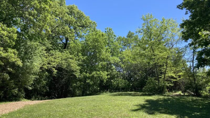 Burton Park - Excelsior, MN