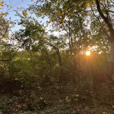 Burton Park - Excelsior, MN