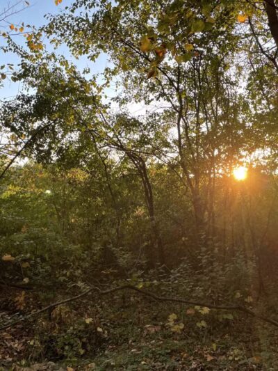 Burton Park - Excelsior, MN