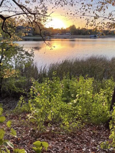 Burton Park - Excelsior, MN