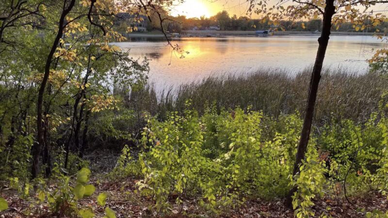 Burton Park - Excelsior, MN