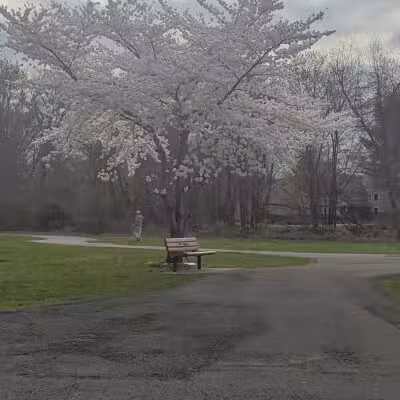 Saddle river county park- fairlawn area - Fair Lawn, NJ