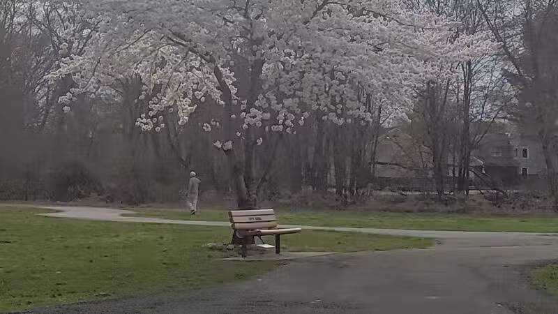 Saddle river county park- fairlawn area - Fair Lawn, NJ