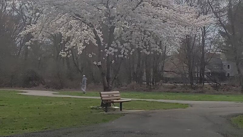 Saddle river county park- fairlawn area - Fair Lawn, NJ