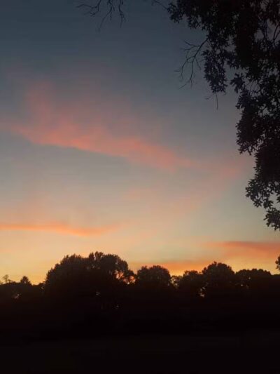 Saddle river county park- fairlawn area - Fair Lawn, NJ