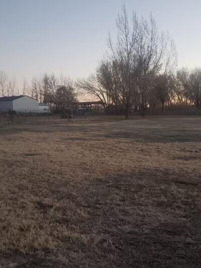 Liberty Pond And Dog Park - Fallon, NV
