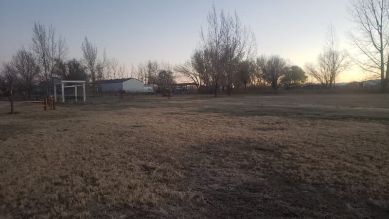 Liberty Pond And Dog Park - Fallon, NV