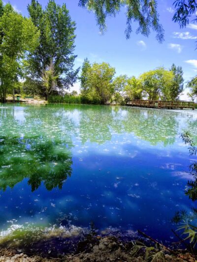 Liberty Pond And Dog Park - Fallon, NV