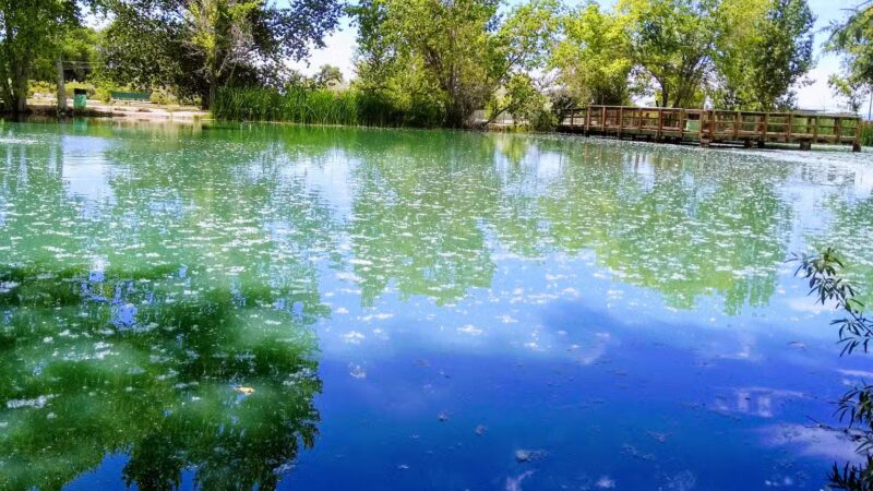 Liberty Pond And Dog Park - Fallon, NV