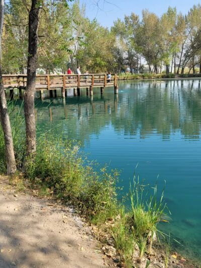 Liberty Pond And Dog Park - Fallon, NV
