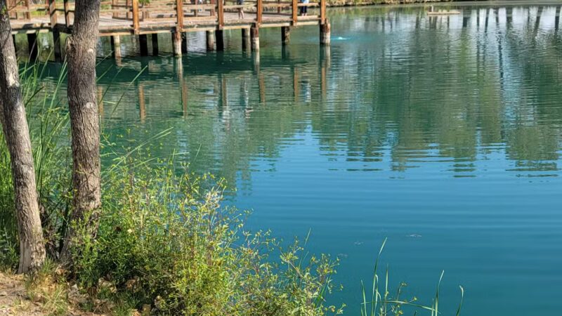 Liberty Pond And Dog Park - Fallon, NV