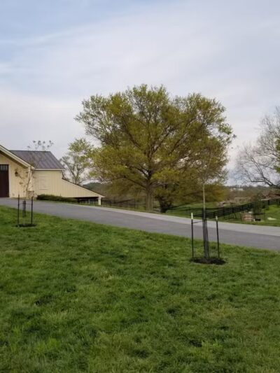 Reckord Road Park - Fallston, MD