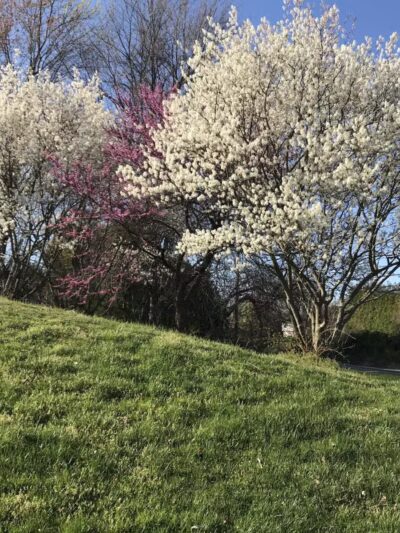 Reckord Road Park - Fallston, MD