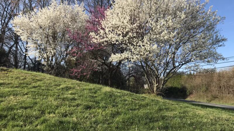 Reckord Road Park - Fallston, MD