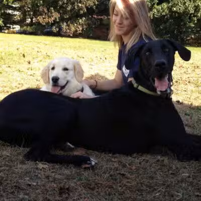 Best Friend's Dog Training - Farmingdale, NY