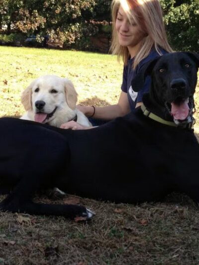 Best Friend's Dog Training - Farmingdale, NY