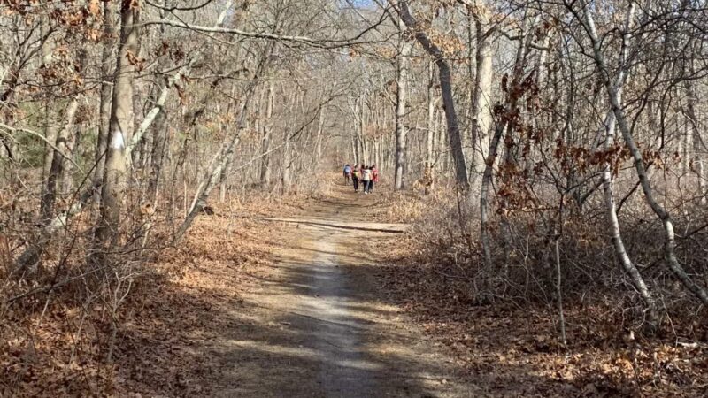 Bethpage State Park - Farmingdale, NY