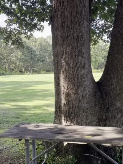 Bethpage State Park - Farmingdale, NY