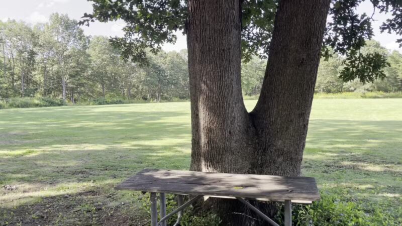 Bethpage State Park - Farmingdale, NY