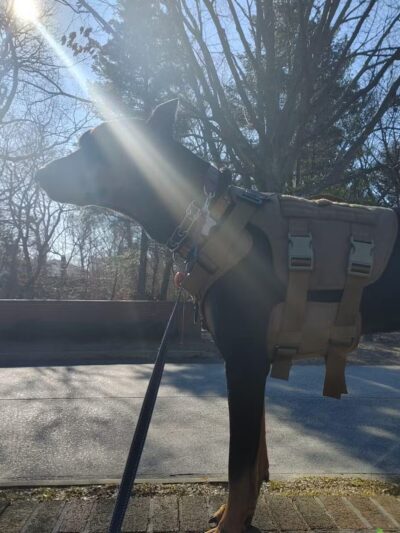 Bethpage state park parking - Farmingdale, NY