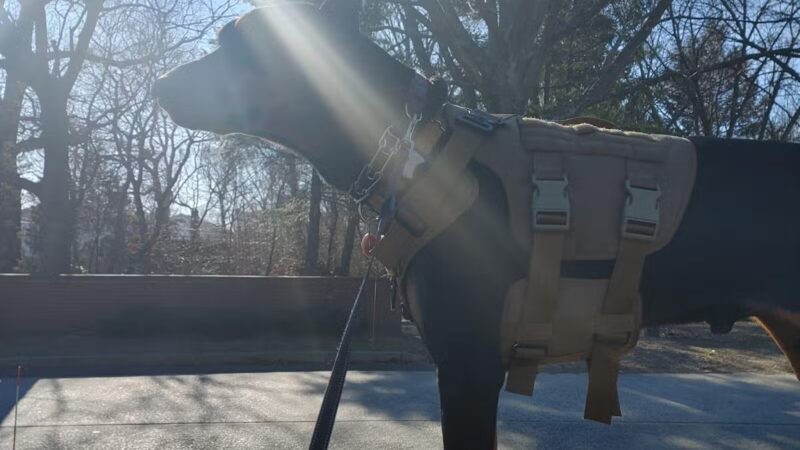 Bethpage state park parking - Farmingdale, NY