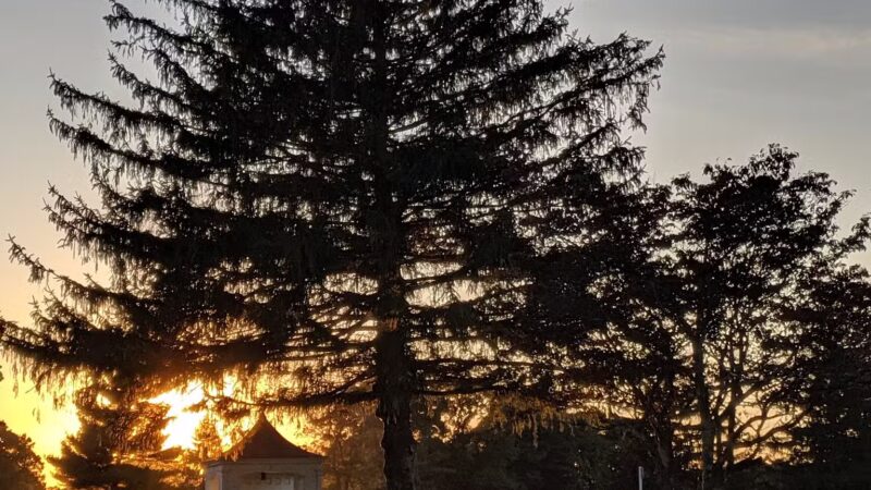 Bethpage state park parking - Farmingdale, NY