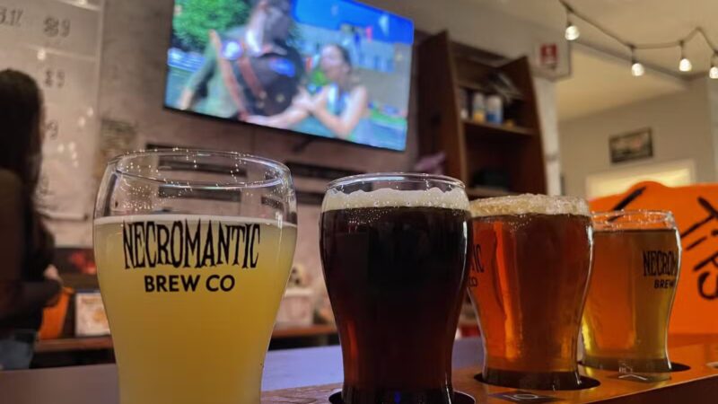 Necromantic Brew Co - Farmingdale, NY