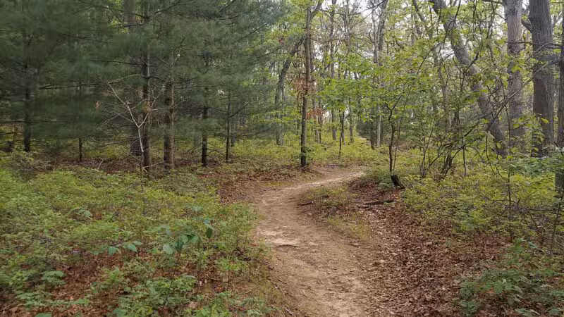 Park for Bethpage Trail - Farmingdale, NY