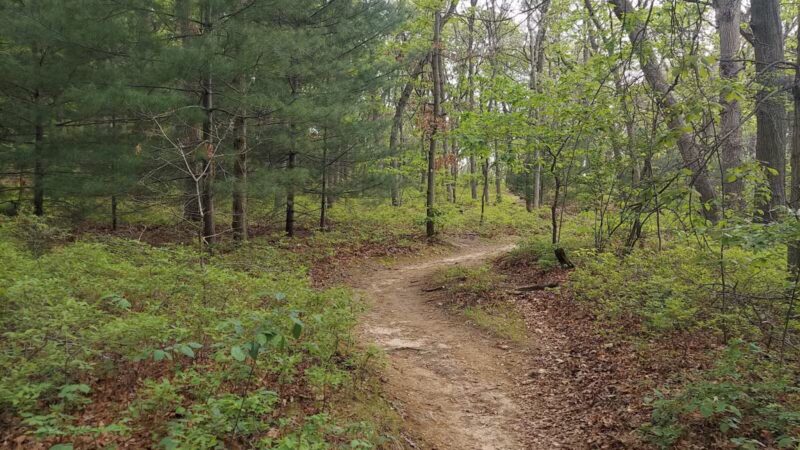 Park for Bethpage Trail - Farmingdale, NY