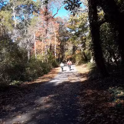 Park for Bethpage Trail - Farmingdale, NY