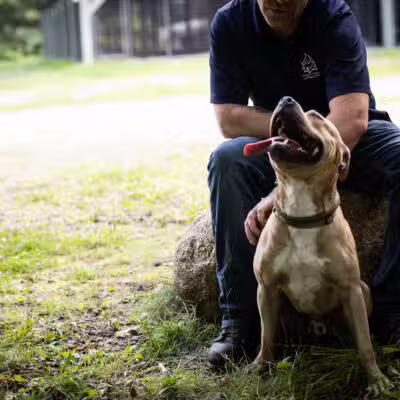 Franklin County Animal Shelter - Farmington, ME